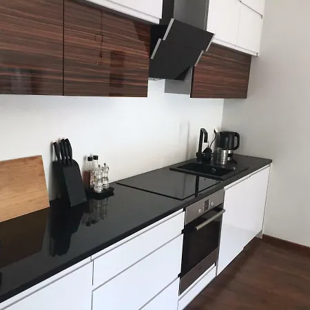 Apartament Large Free Private Parking Kraków